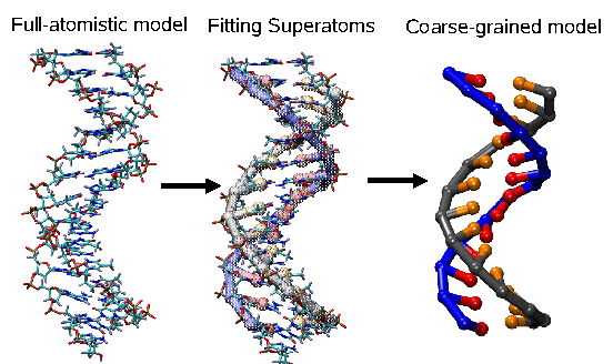 DNA